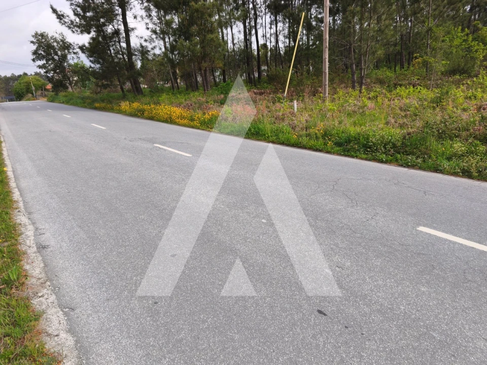 Terreno para Venda em Fragoso Foto 5