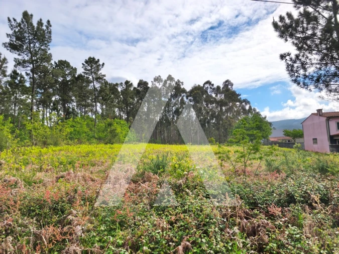 Terreno para Venda em Fragoso Foto 2