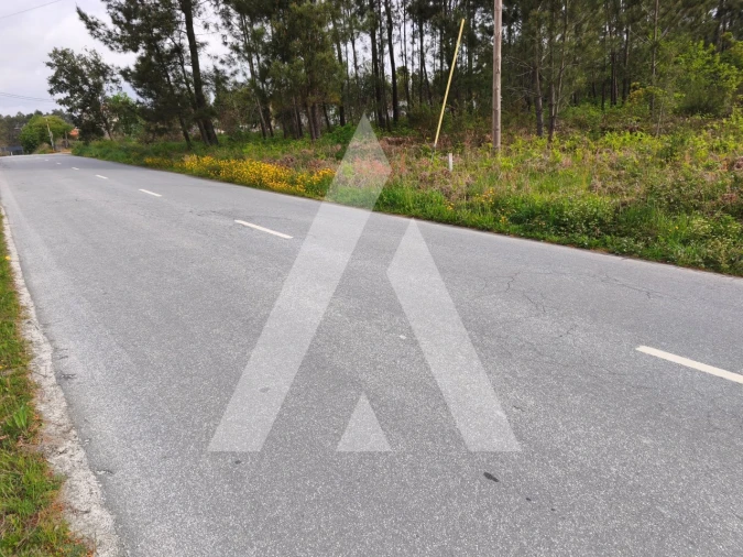 Terreno para Venda em Fragoso Foto 5