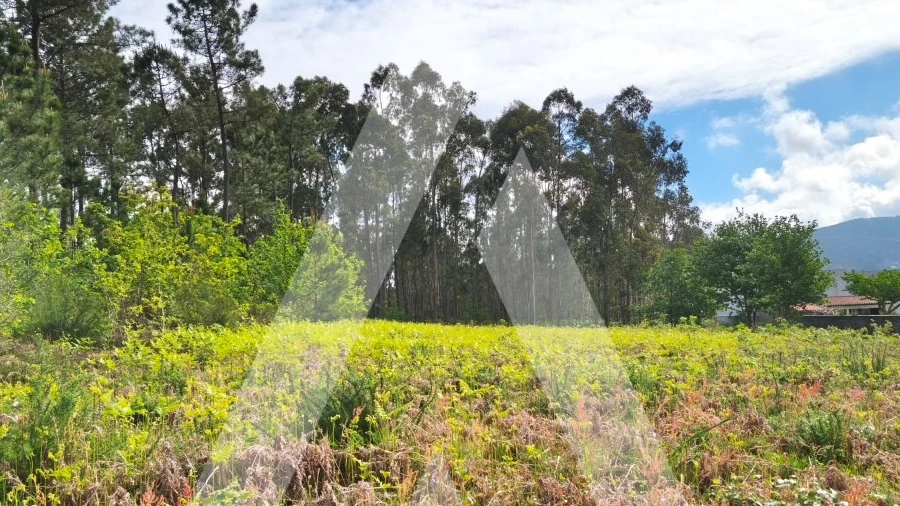 Terreno para Venda em Fragoso