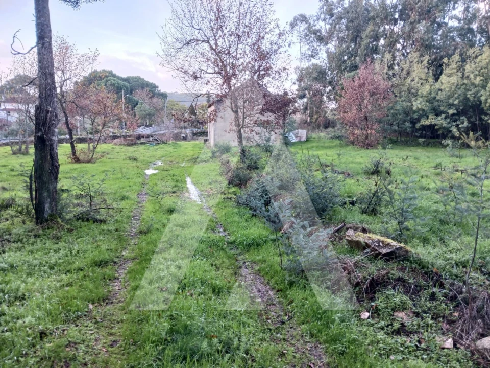 Terreno para Venda em Mangualde, Mesquitela e Cunha Alta Foto 1