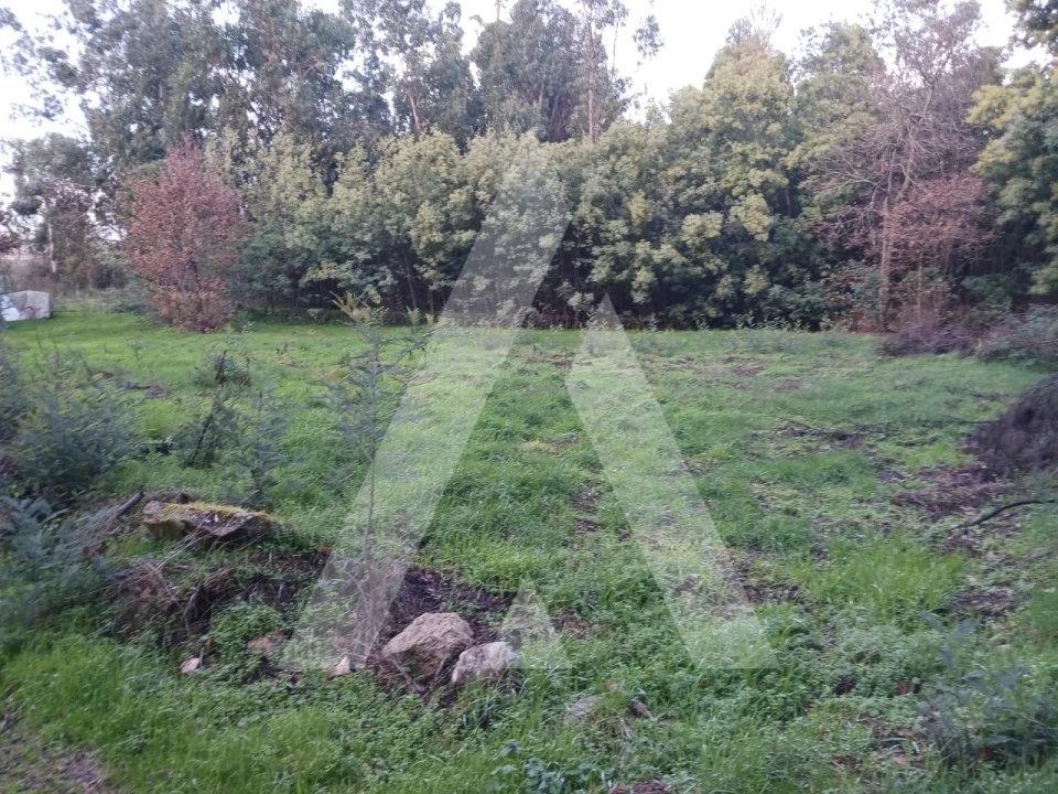 Terreno para Venda em Mangualde, Mesquitela e Cunha Alta Foto 4