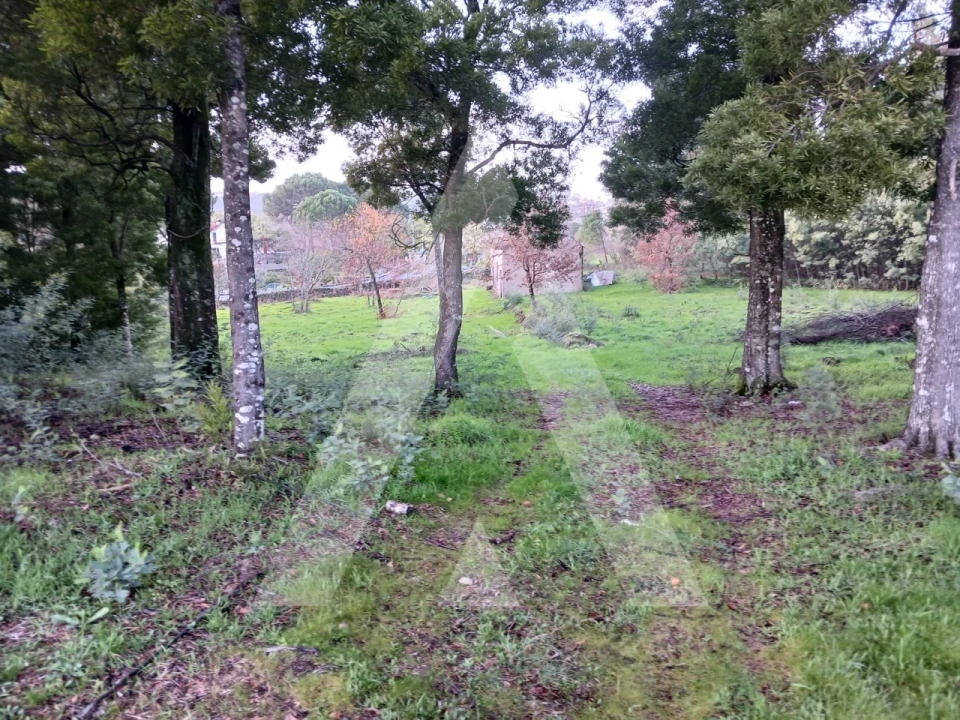 Terreno para Venda em Mangualde, Mesquitela e Cunha Alta Foto 5