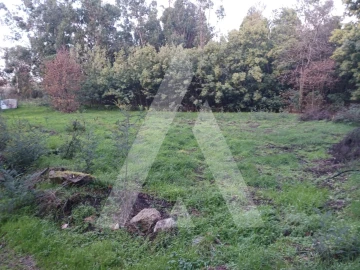 Terreno para Venda em Mangualde, Mesquitela e Cunha Alta