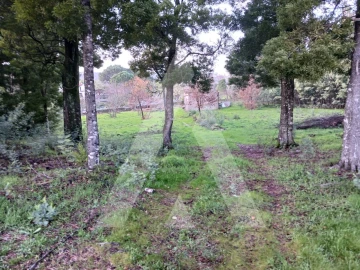 Terreno para Venda em Mangualde, Mesquitela e Cunha Alta