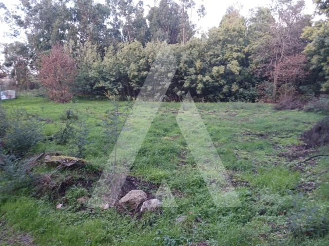 Terreno para Venda em Mangualde, Mesquitela e Cunha Alta Foto 4