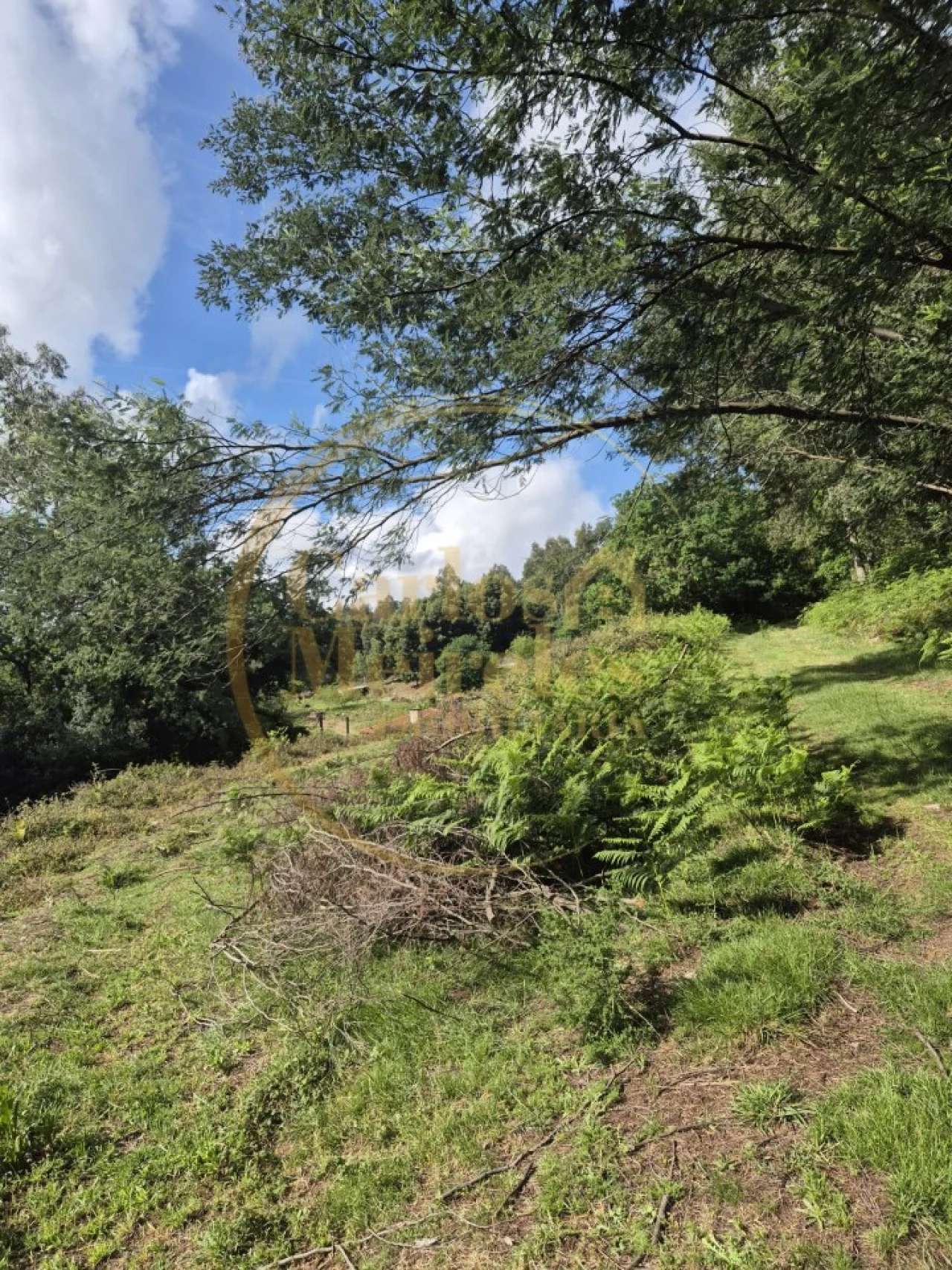 Terreno Misto para Venda em Dossãos Foto 3