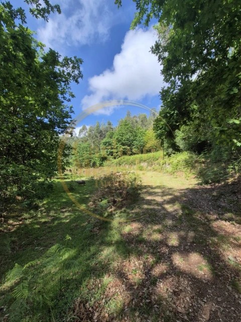 Terreno Misto para Venda em Dossãos