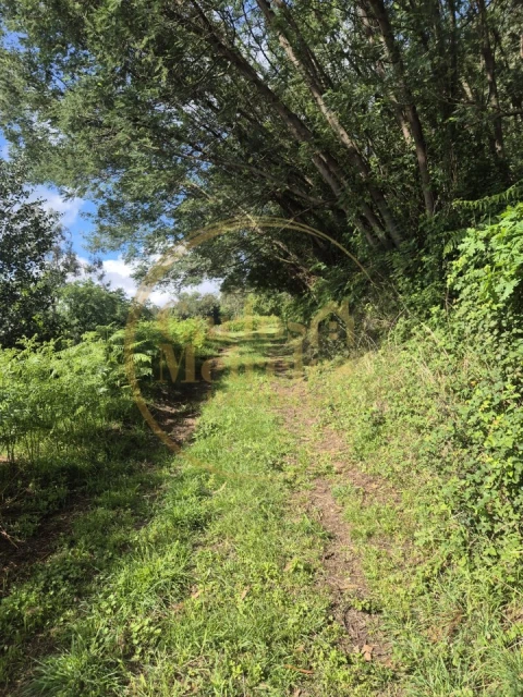 Terreno Misto para Venda em Dossãos