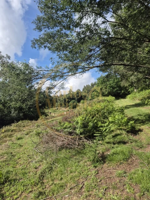 Terreno Misto para Venda em Dossãos