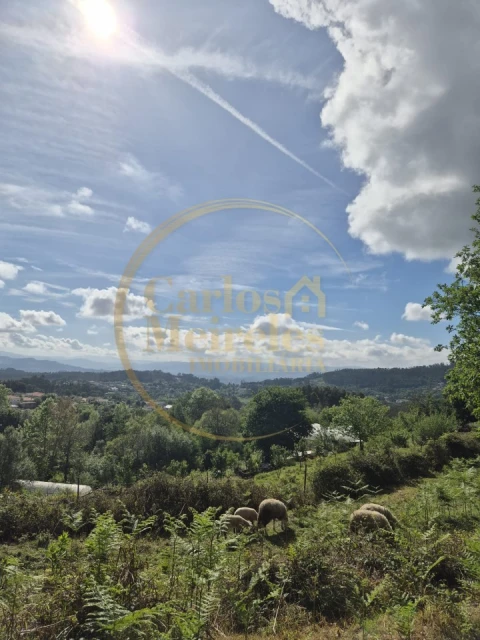 Terreno Misto para Venda em Dossãos