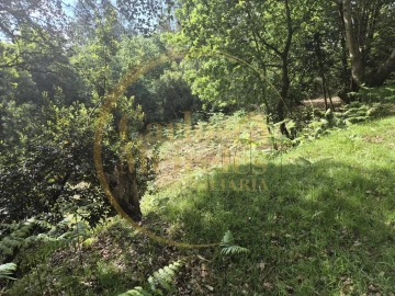 Terreno Misto para Venda em Dossãos