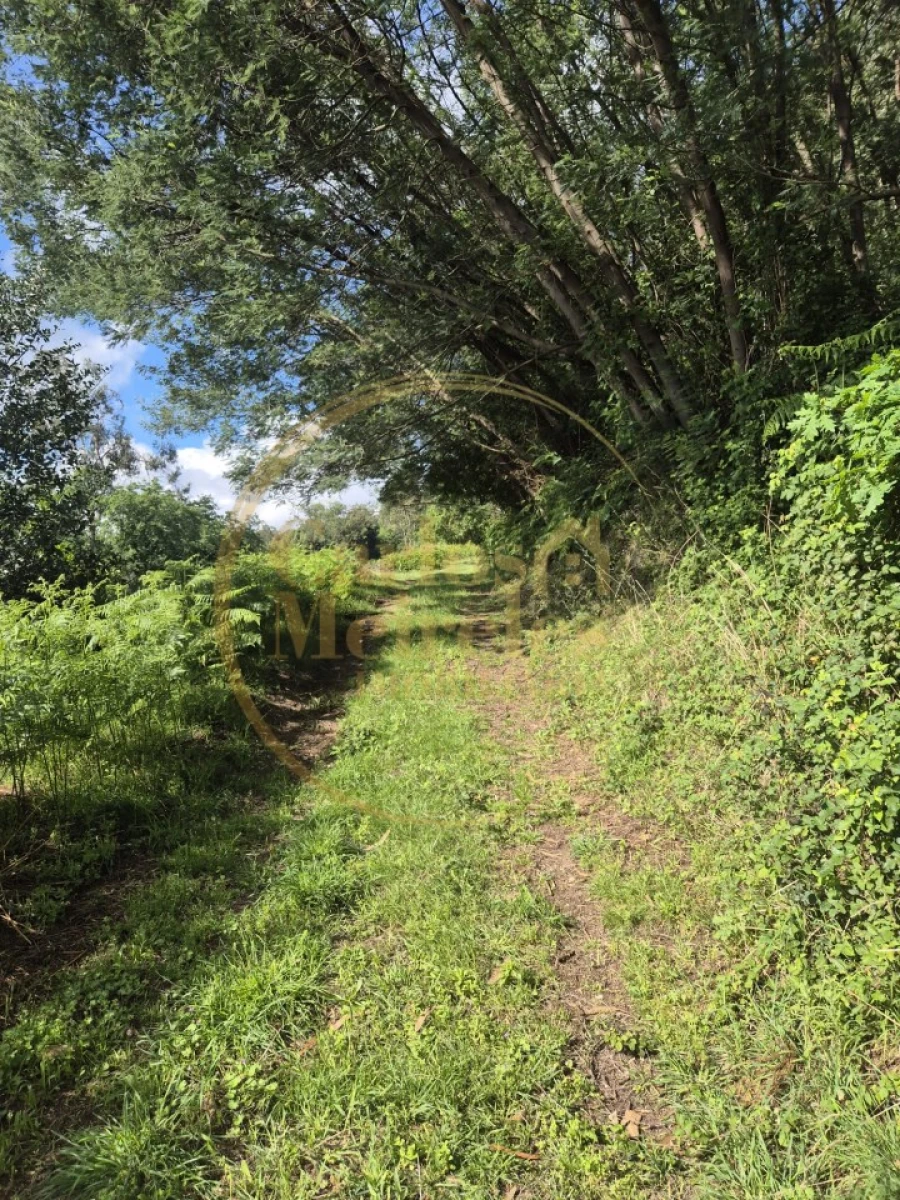 Terreno Misto para Venda em Dossãos Foto 2