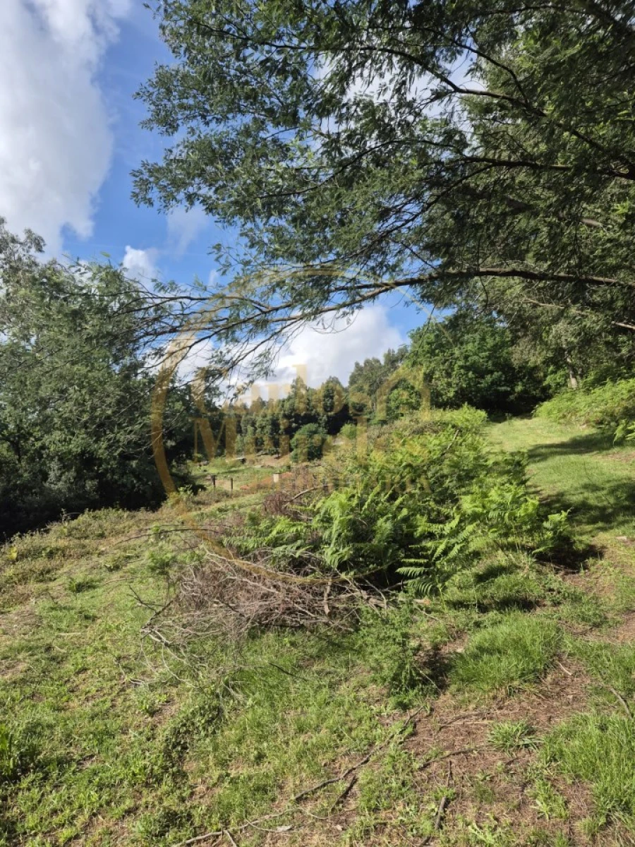 Terreno Misto para Venda em Dossãos Foto 3
