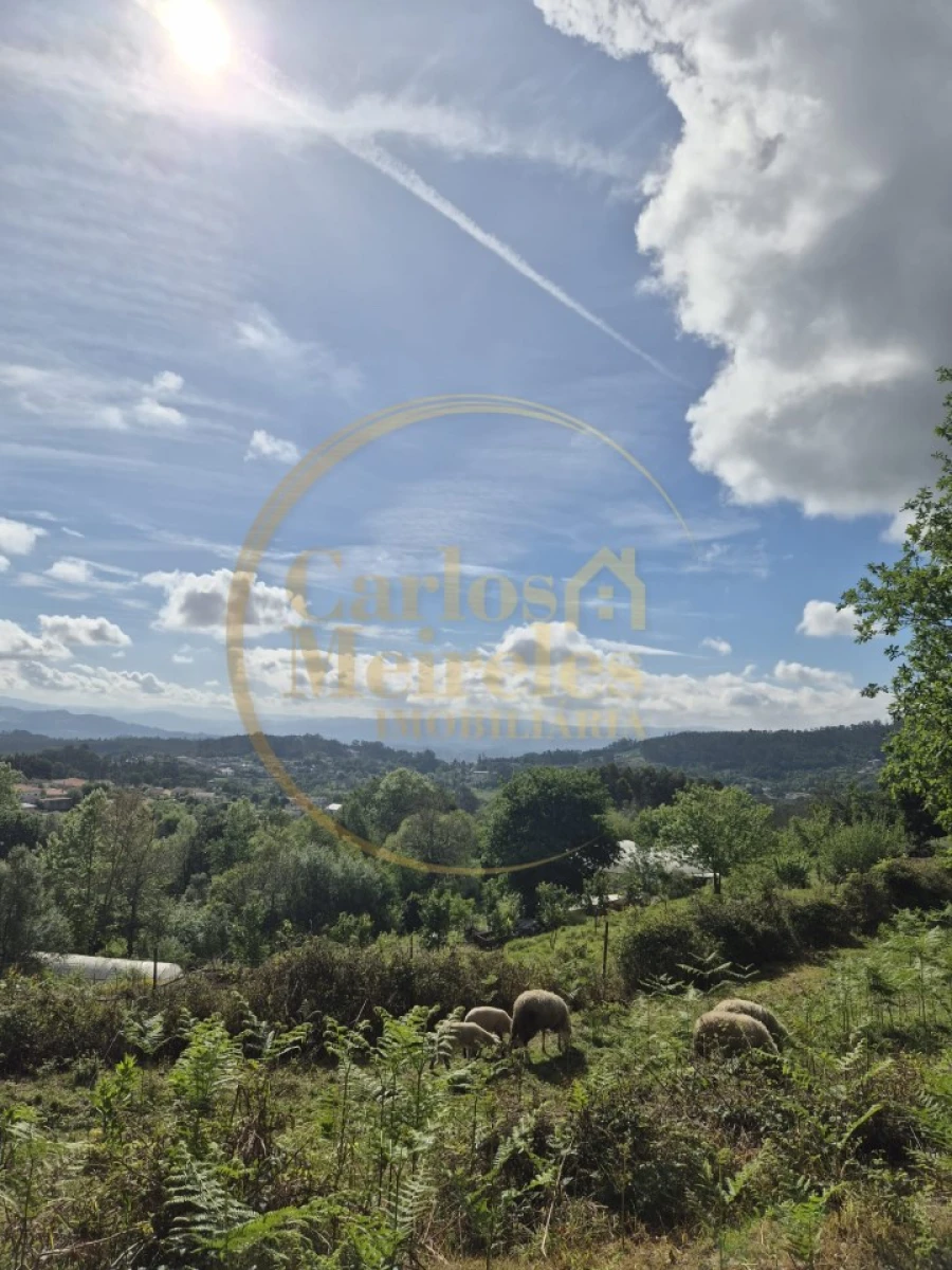 Terreno Misto para Venda em Dossãos Foto 5