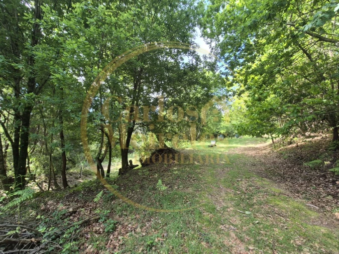 Terreno Misto para Venda em Dossãos Foto 7