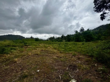 Terreno para Venda em Este (São Pedro e São Mamede)