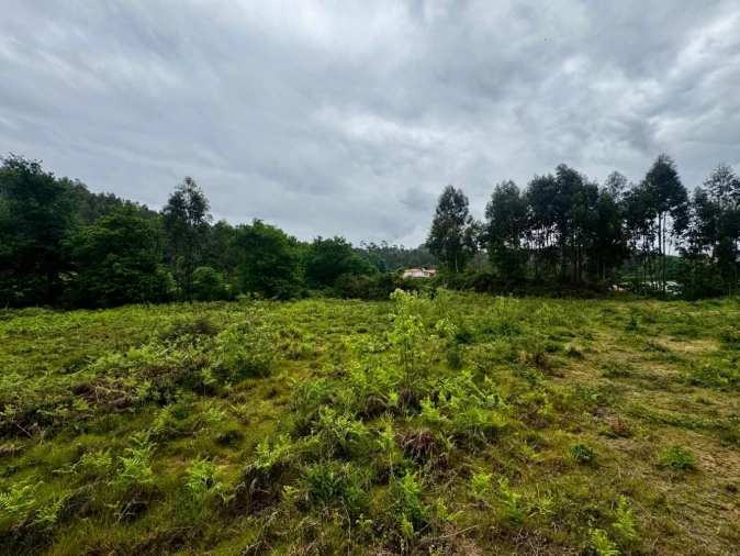 Terreno para Venda em Este (São Pedro e São Mamede) Foto 7