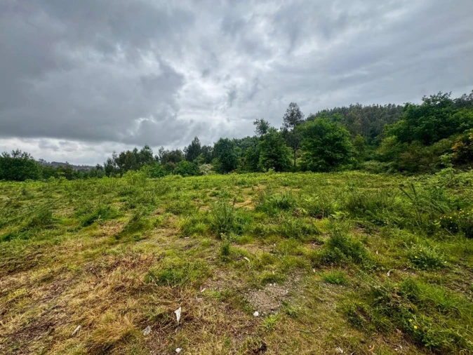 Terreno para Venda em Este (São Pedro e São Mamede) Foto 4