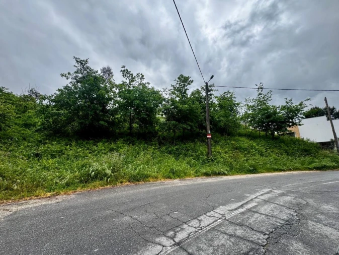 Terreno para Venda em Este (São Pedro e São Mamede) Foto 11