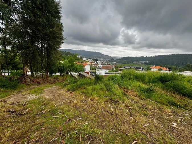 Terreno para Venda em Este (São Pedro e São Mamede) Foto 8