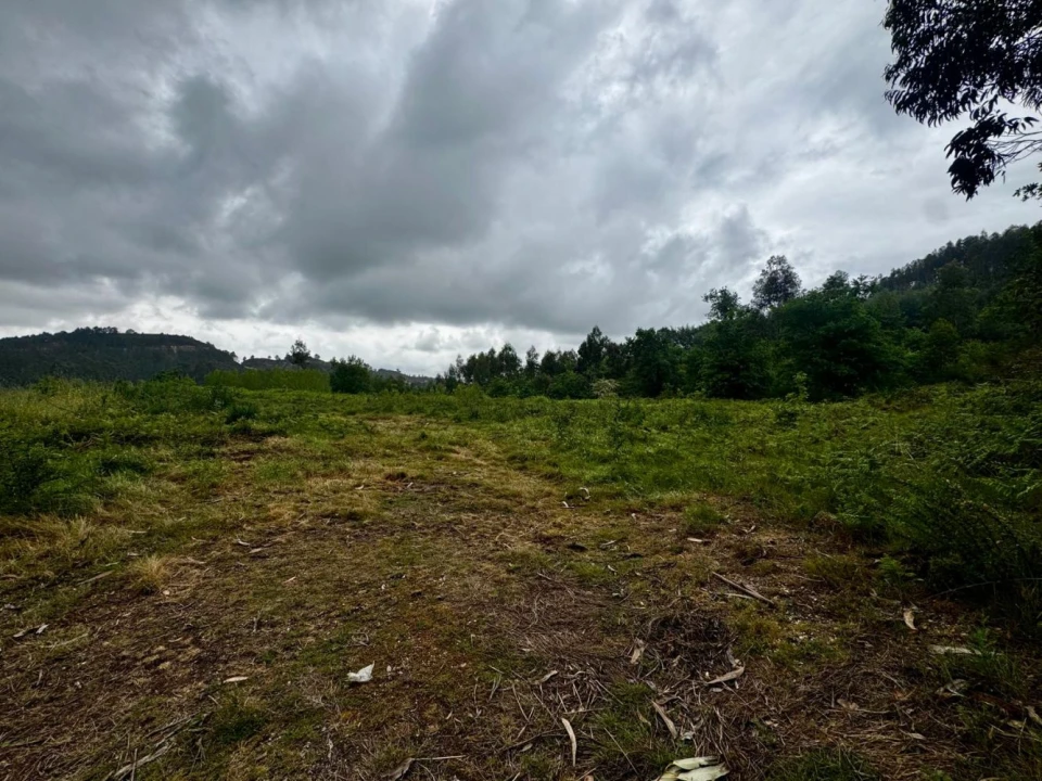 Terreno para Venda em Este (São Pedro e São Mamede) Foto 10