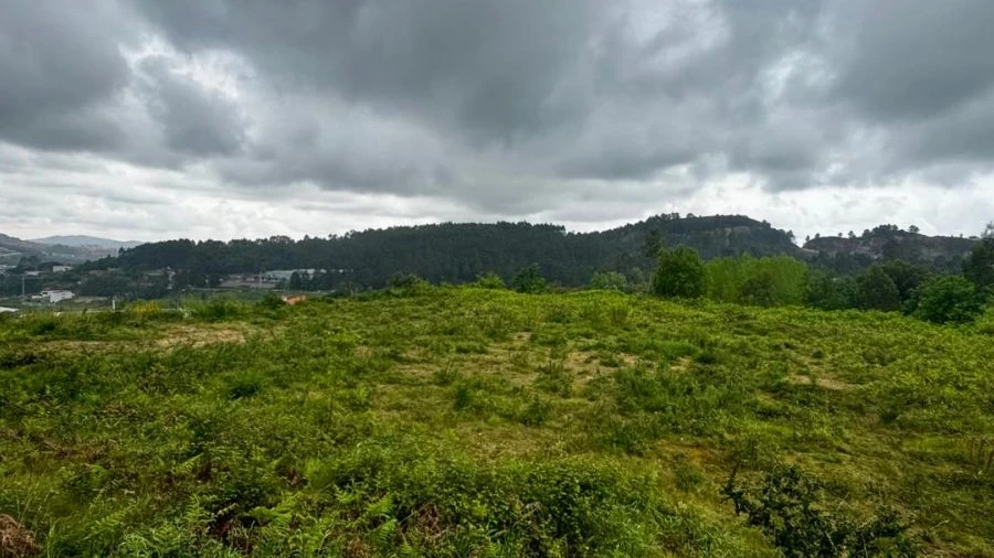 Terreno para Venda em Este (São Pedro e São Mamede)