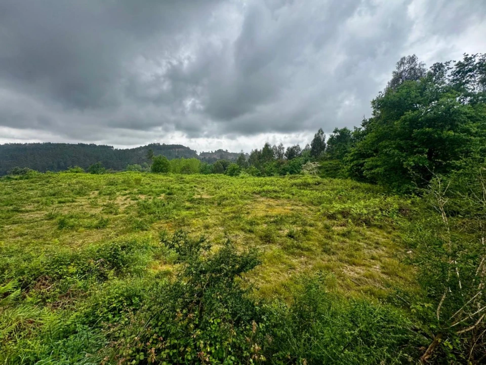 Terreno para Venda em Este (São Pedro e São Mamede) Foto 5