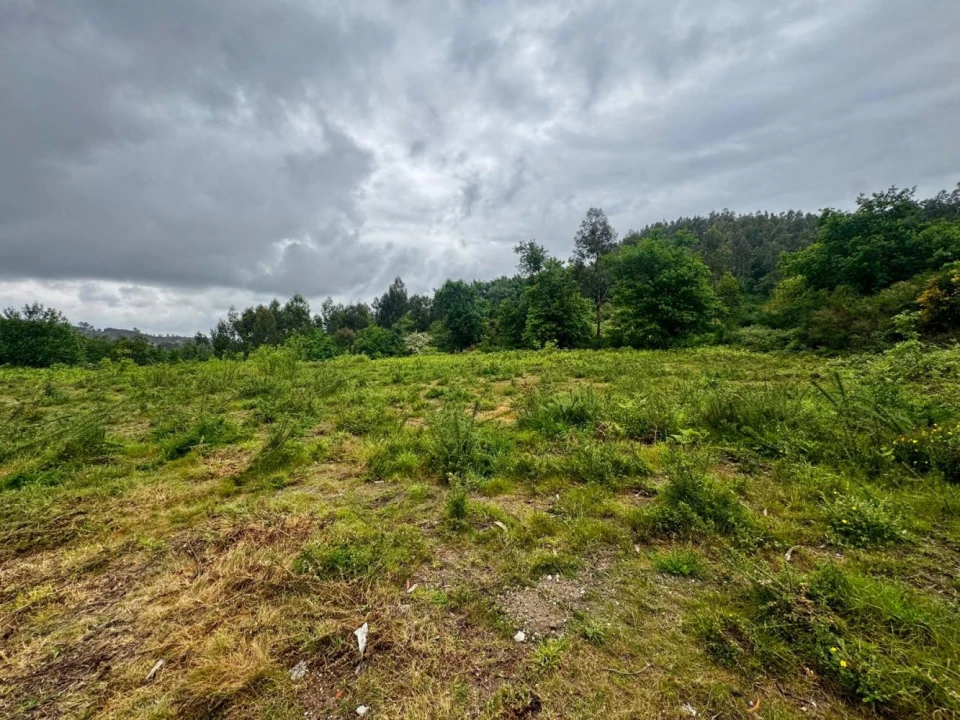 Terreno para Venda em Este (São Pedro e São Mamede) Foto 4