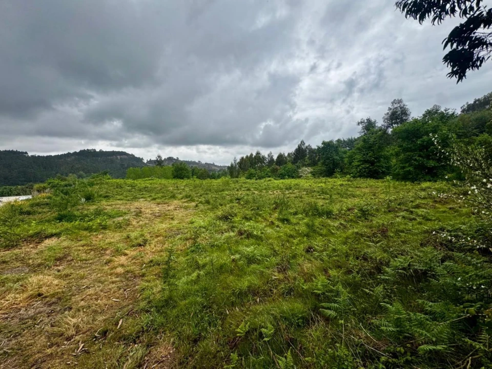 Terreno para Venda em Este (São Pedro e São Mamede) Foto 6