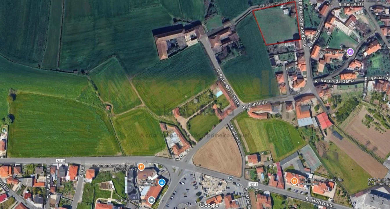 Terreno para Venda em Coronado (São Romão e São Mamede) Foto 15