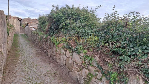 Terreno para Venda em Coronado (São Romão e São Mamede)