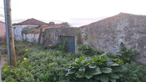 Terreno para Venda em Coronado (São Romão e São Mamede)