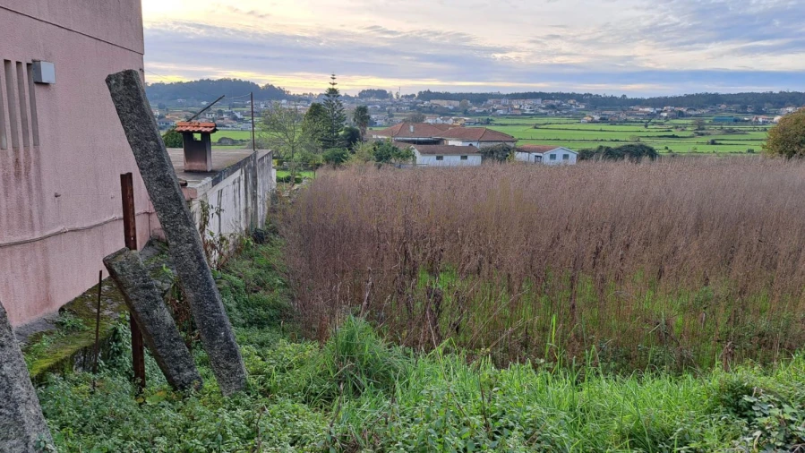 Terreno para Venda em Coronado (São Romão e São Mamede) Foto 6