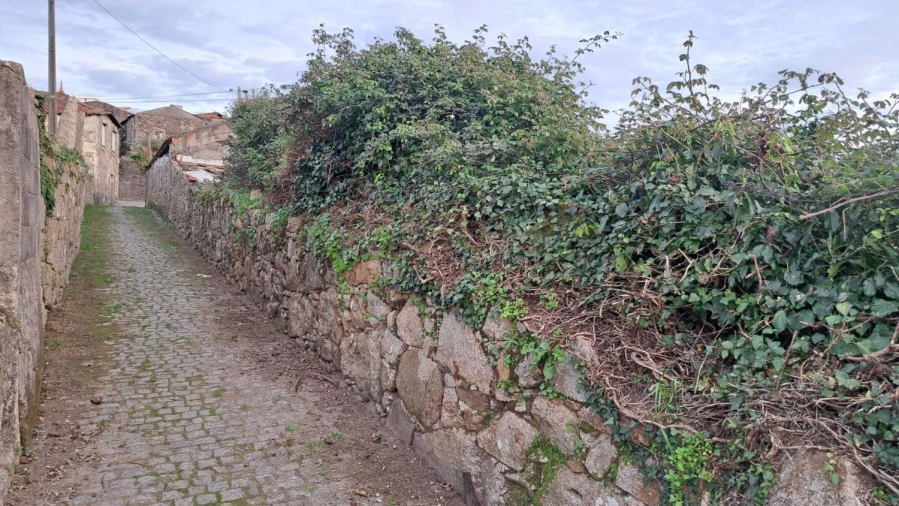 Terreno para Venda em Coronado (São Romão e São Mamede) Foto 11