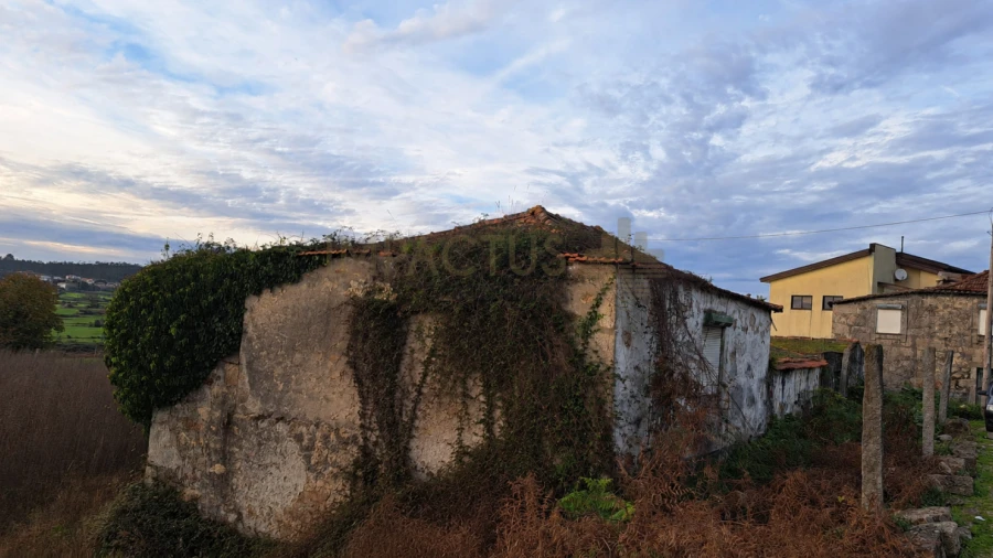Terreno para Venda em Coronado (São Romão e São Mamede)