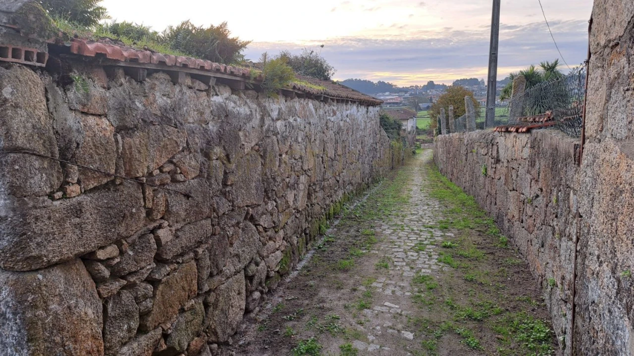 Terreno para Venda em Coronado (São Romão e São Mamede) Foto 4
