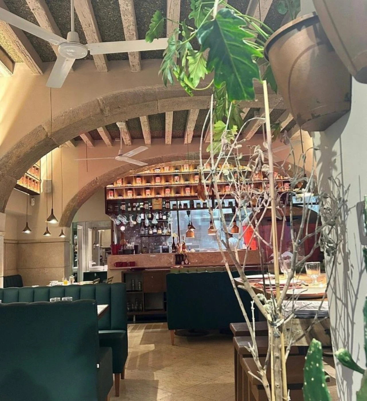 Loja para Trespasse em Santa Maria Maior Foto 4