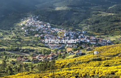 Moradia T3 para Venda em Verdelhos