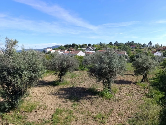 Moradia T4 para Venda em Três Povos Planta 18