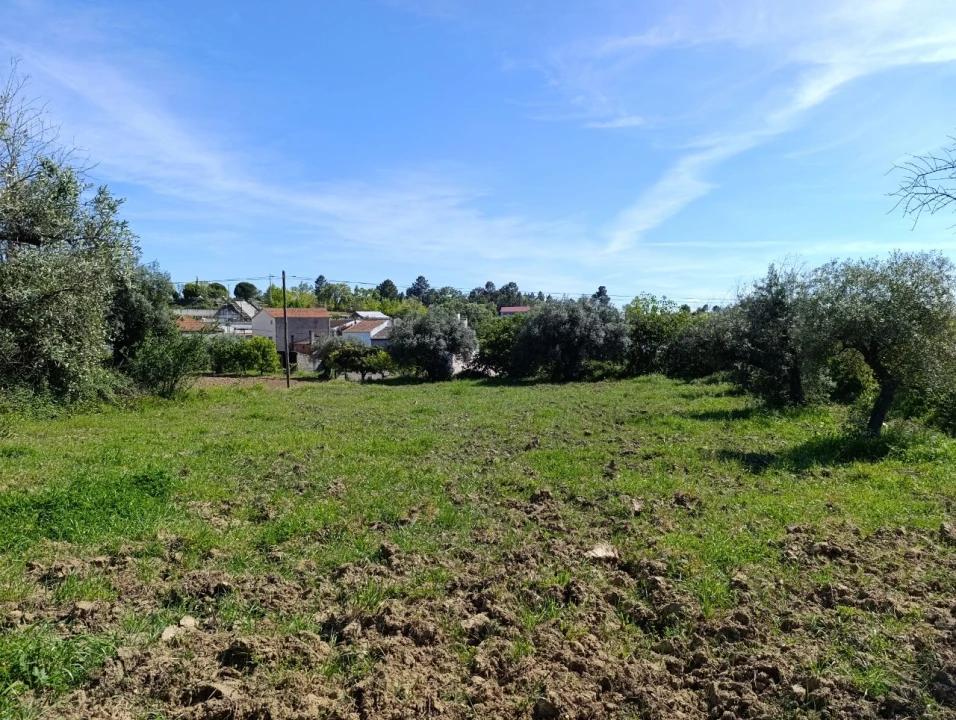 Moradia T4 para Venda em Três Povos Planta 12