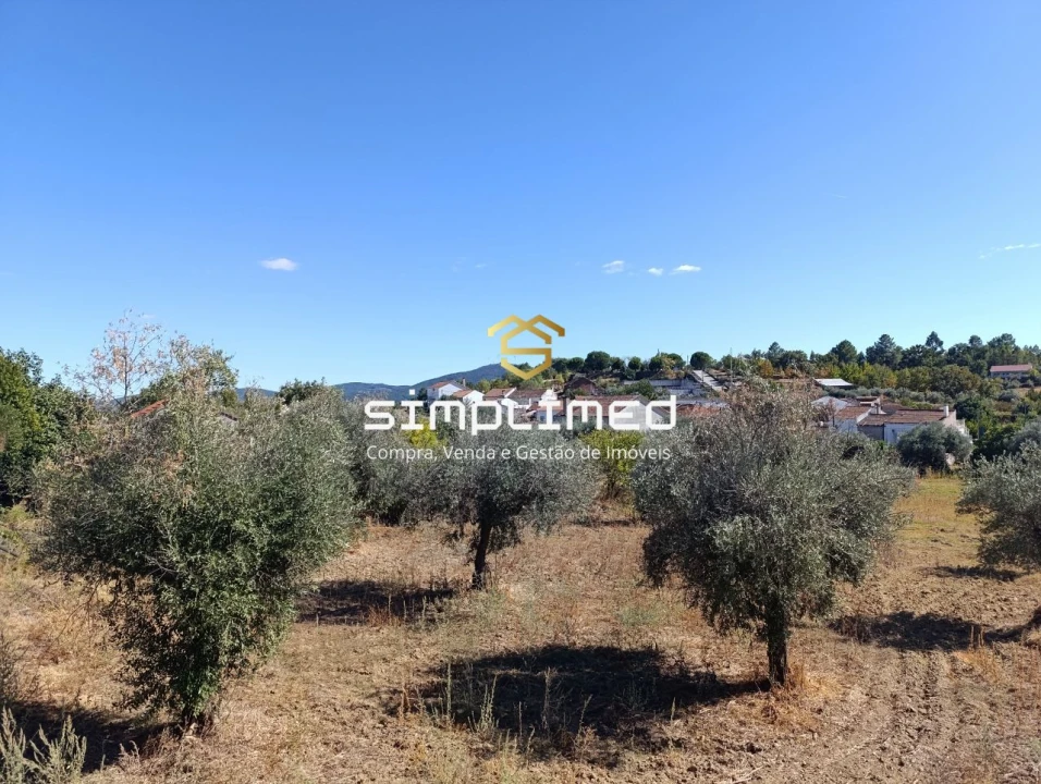 Moradia T4 para Venda em Três Povos Foto 2