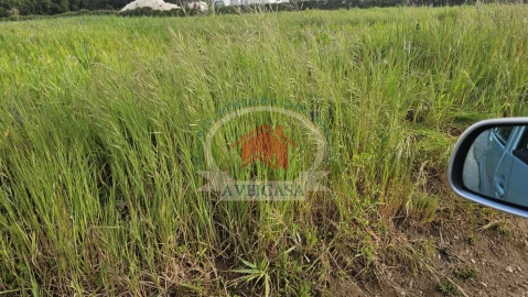 Terreno para Venda em Santa Joana