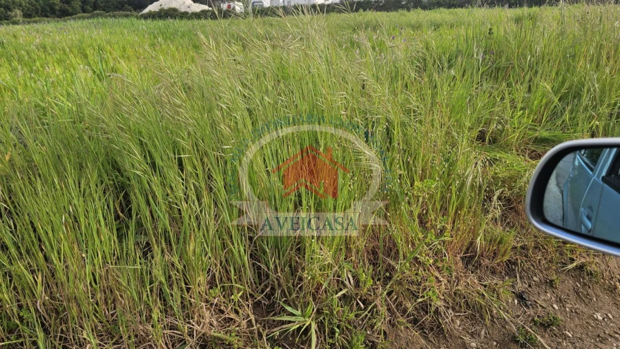 Terreno para Venda em Santa Joana