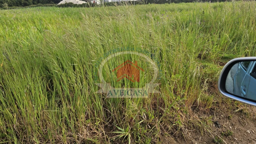 Terreno para Venda em Santa Joana