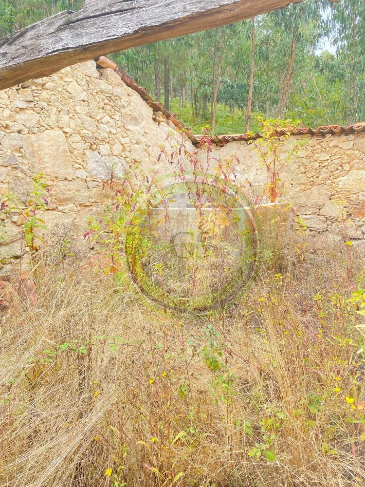 Moradia T3 para Venda em Durrães e Tregosa Foto 6