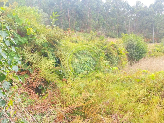 Moradia T3 para Venda em Durrães e Tregosa Foto 29