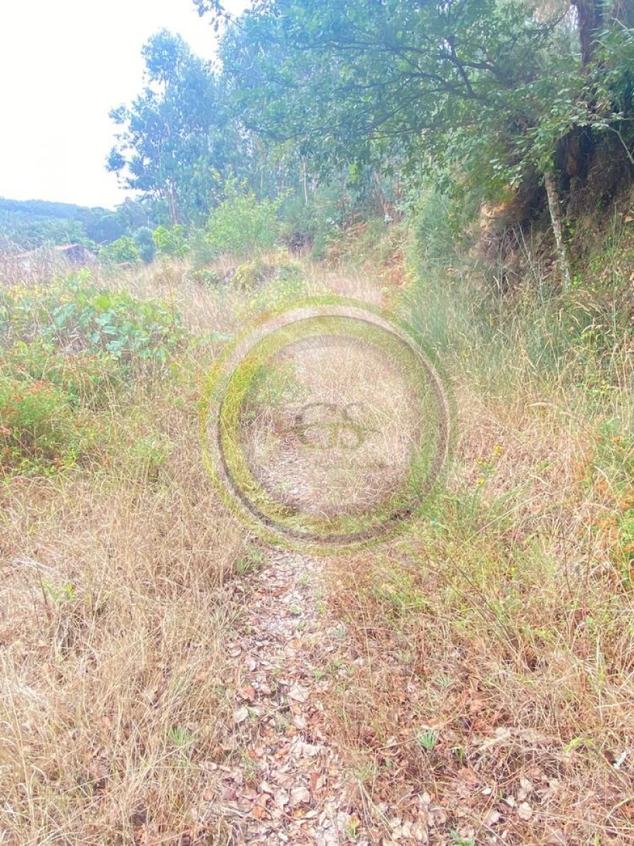 Moradia T3 para Venda em Durrães e Tregosa Foto 43