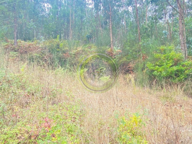 Moradia T3 para Venda em Durrães e Tregosa Foto 14