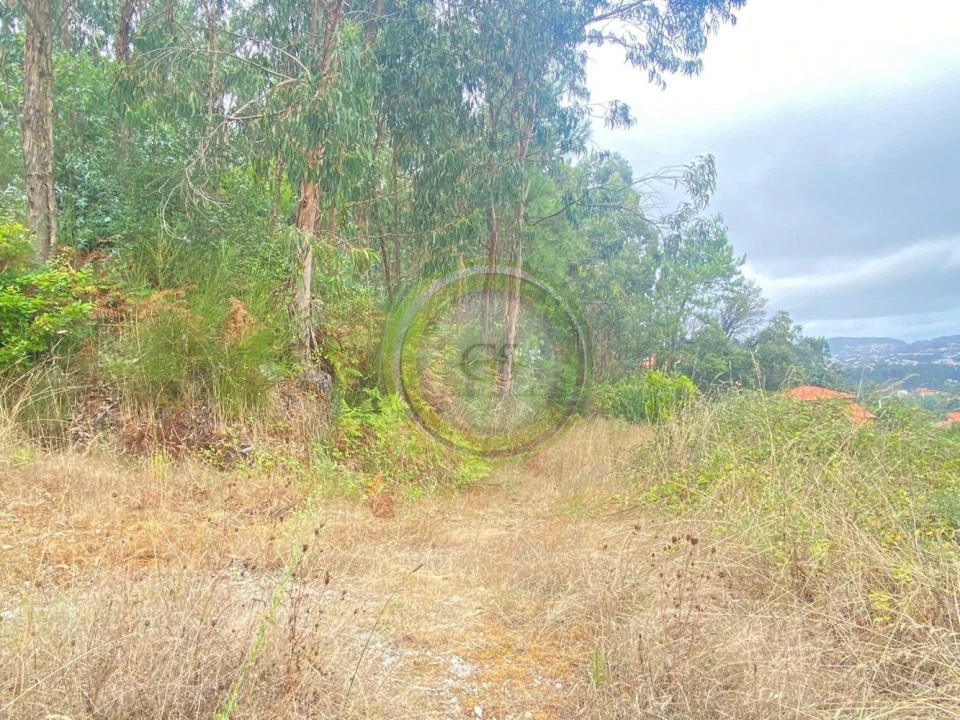 Moradia T3 para Venda em Durrães e Tregosa Foto 7